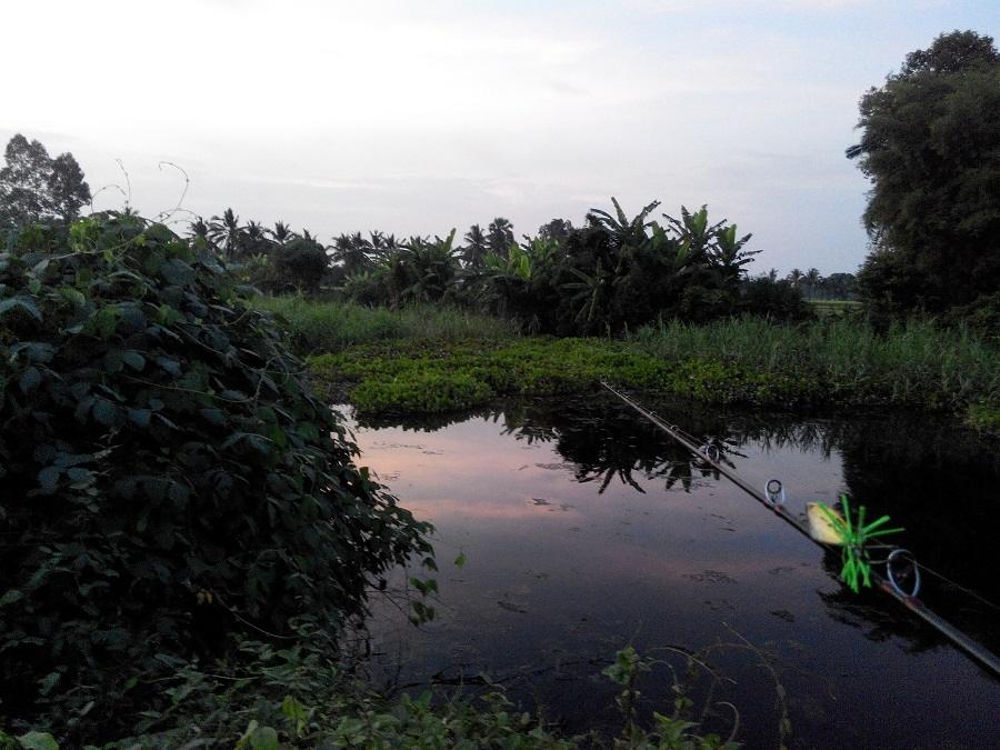 ออกเดินเล่นยามเย็นหมายเดิมๆ