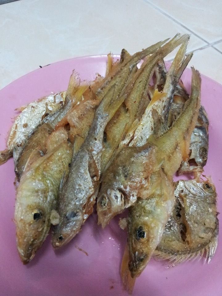 หนีบ่อเข้าวัง