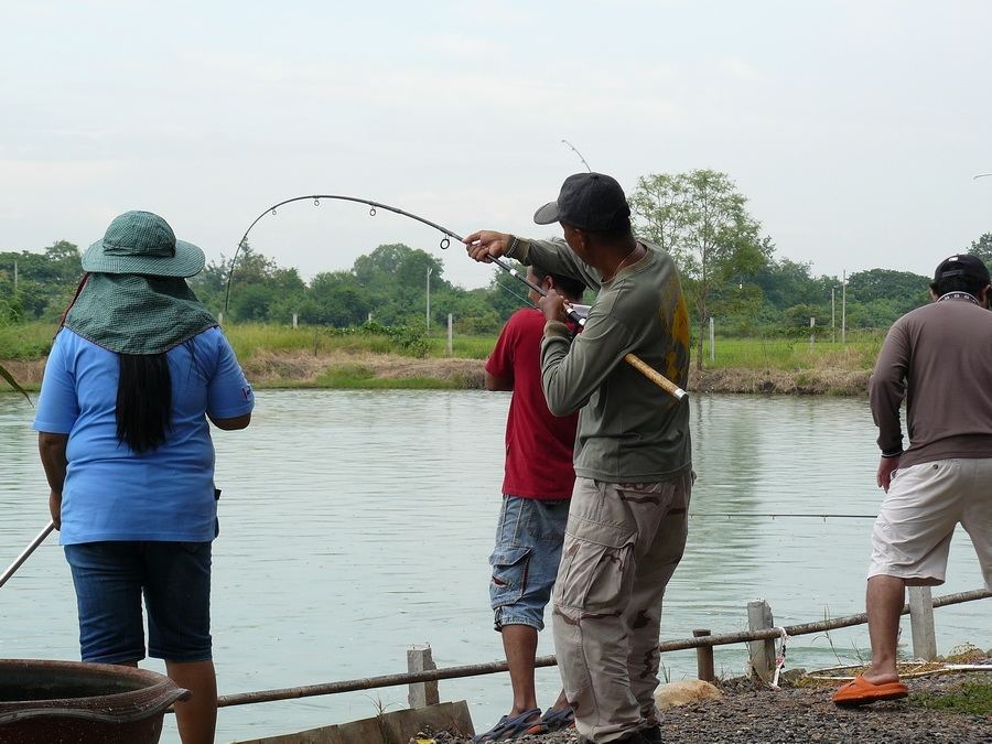 26 ต.ค.นี้ 600 ลุ้น 2 หมื่นที่บ่อจ้าวซันฟิชชิ่ง สระบุรี