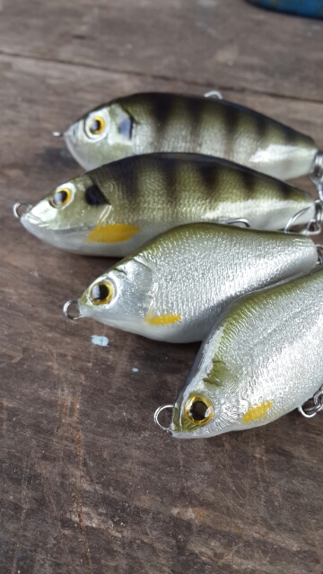 ปลานิล ปลาตะเพียน Tilapia & Java barb