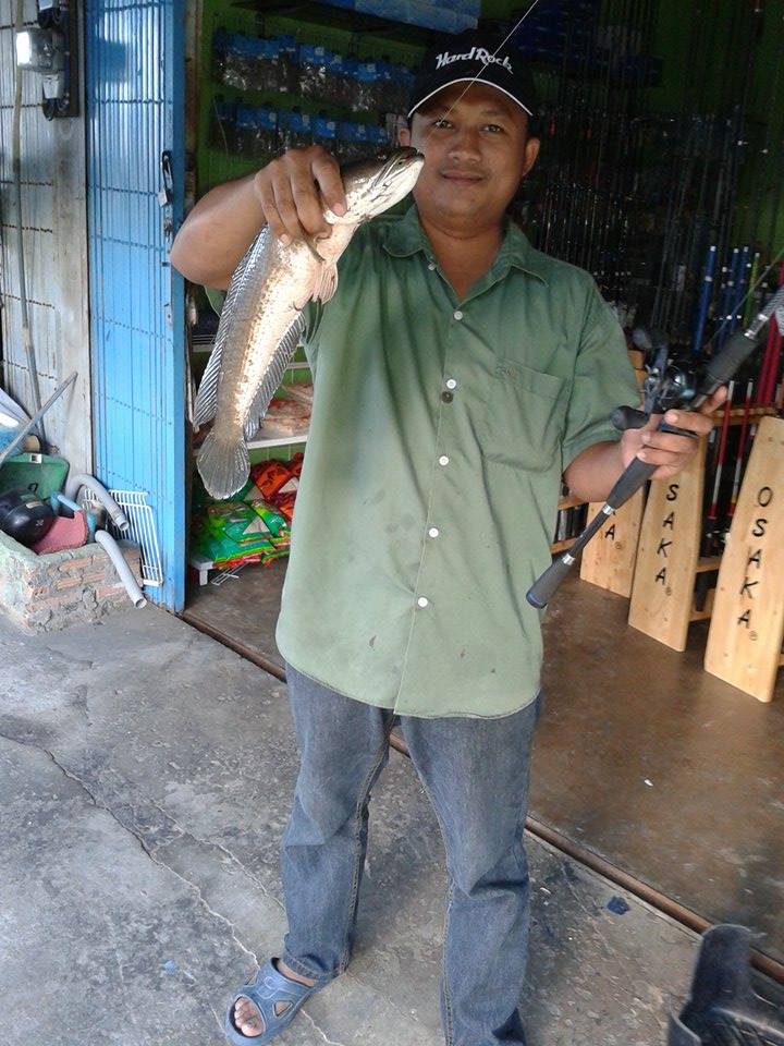 เทสกบ...อมมิด