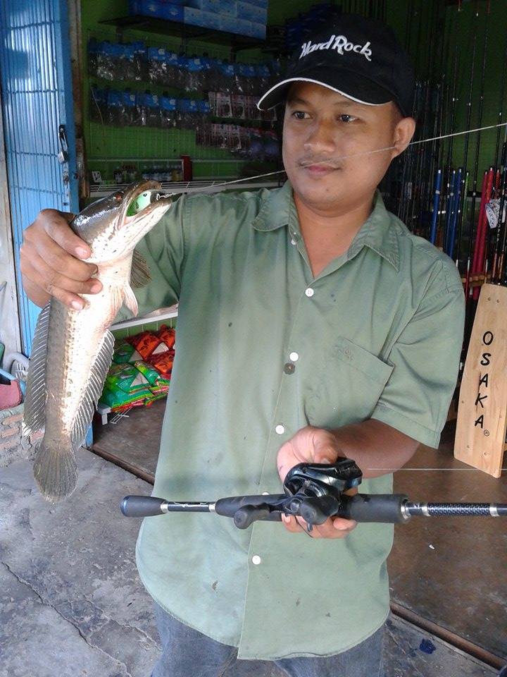 เทสกบ...อมมิด