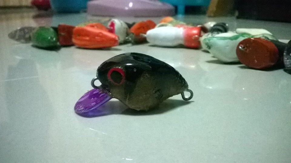 ลองทำเองบ้าง ไม่สวย..แต่ลีลาโอเคอยู่