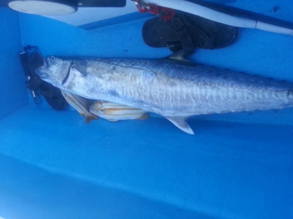 Phangan Jigging  Boat