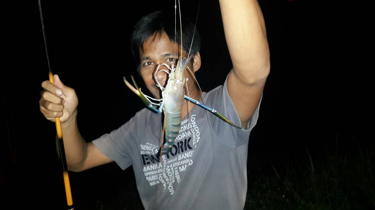 กุ้งๆๆๆๆๆ(6)