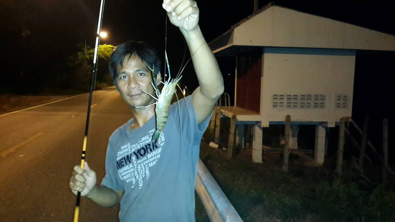 กุ้งๆๆๆๆๆ(6)