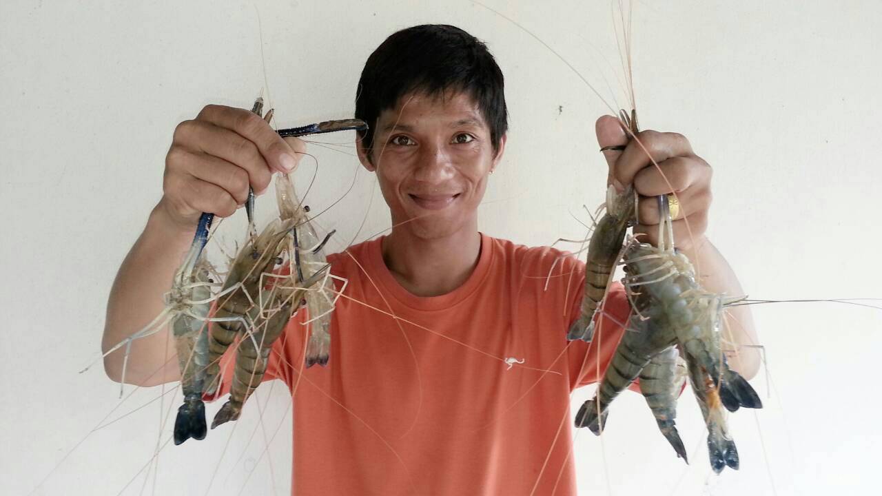 กุ้งๆๆๆๆๆ(6)