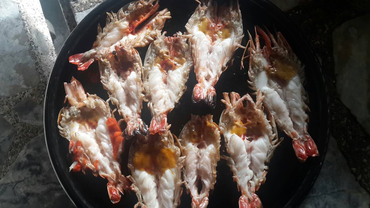 กุ้งๆๆๆๆๆ(6)