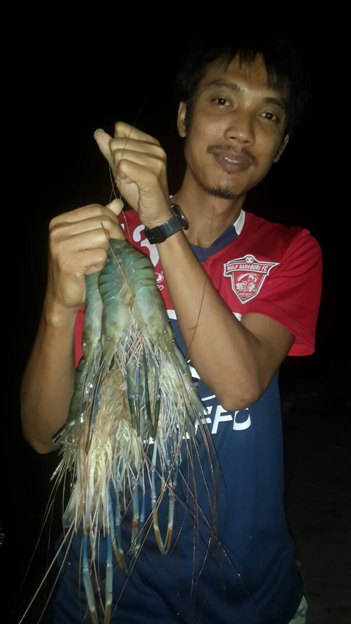 กุ้งๆๆๆๆๆ(7)  อย่าเพิ่งเบื่อนะ