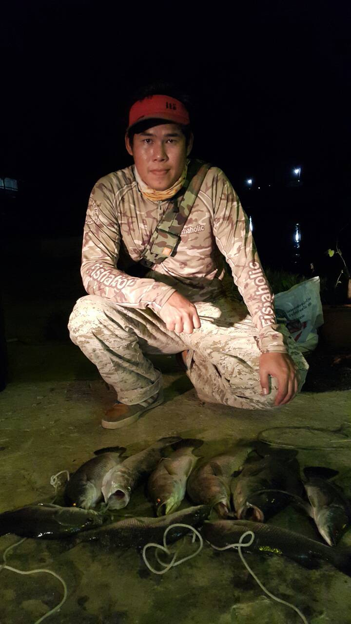 บุฟเฟ่ร์กะพงช่อนป่า250ได้กัน