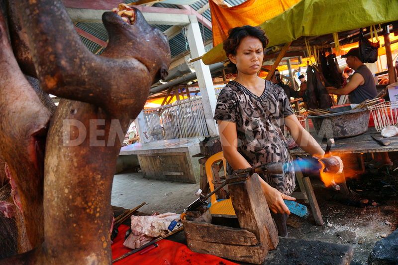 ตลาดเนื้อที่น่ากลัวที่สุดในโลก สายโหด 18>