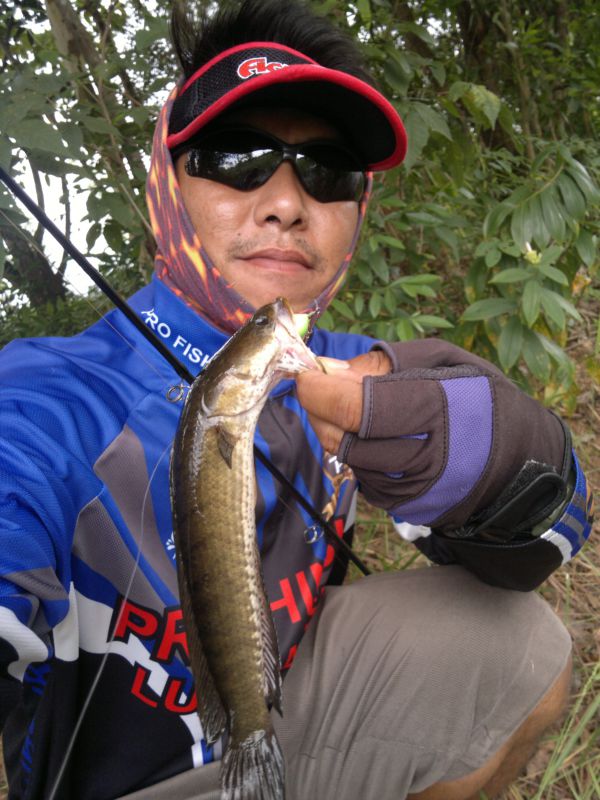 ตัวเดียวหายห่วง  By..นกยาง
