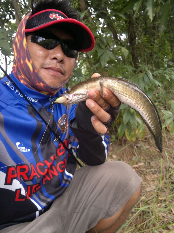 ตัวเดียวหายห่วง  By..นกยาง