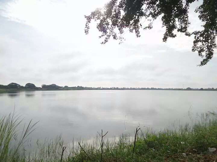 ขาแว๊นซ์พาลุยหลังวัดมหาดไท