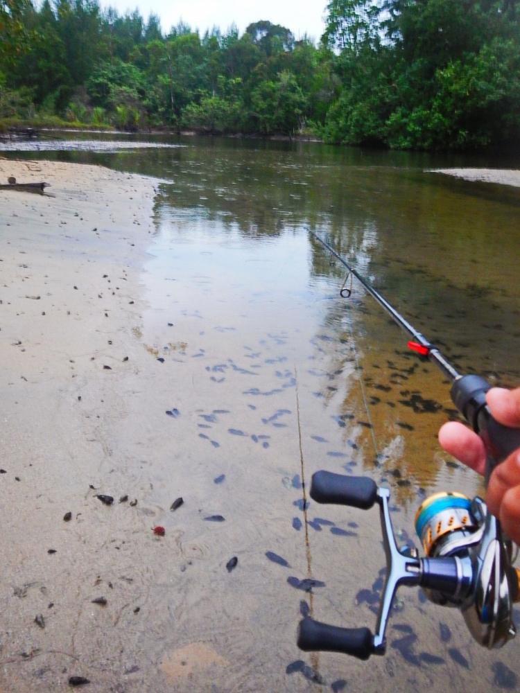@@_**...... Slim Swim Light Game Fishing ......**_@@