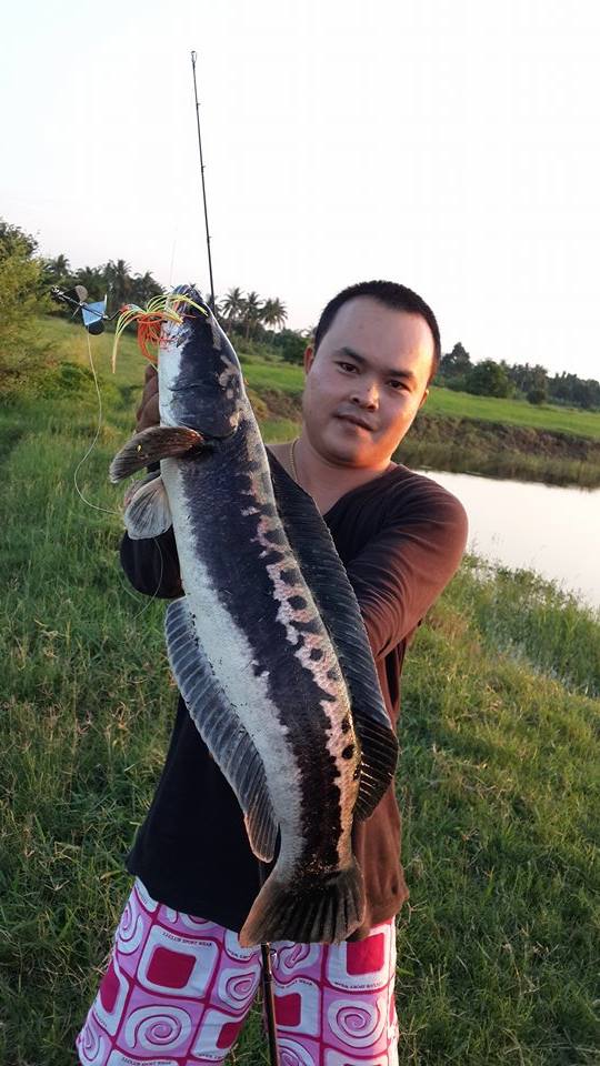 @@@ 3 ไม้ @@@