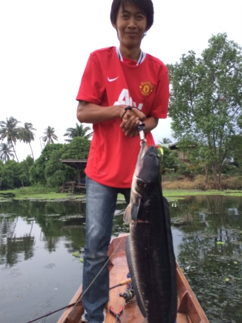 ออกเรือตกปลาชะโด ที่คลองจินดา