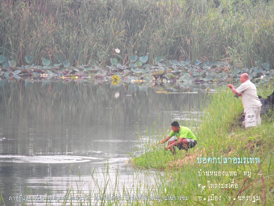 ฝากผลงานบ่อตกปลาอมรเทพ