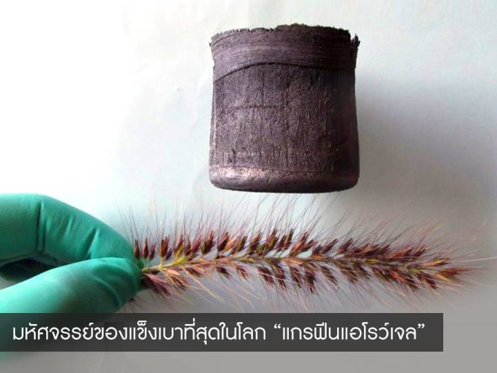 Graphene Aerogel ของแข็งที่เบาที่สุดในโลก