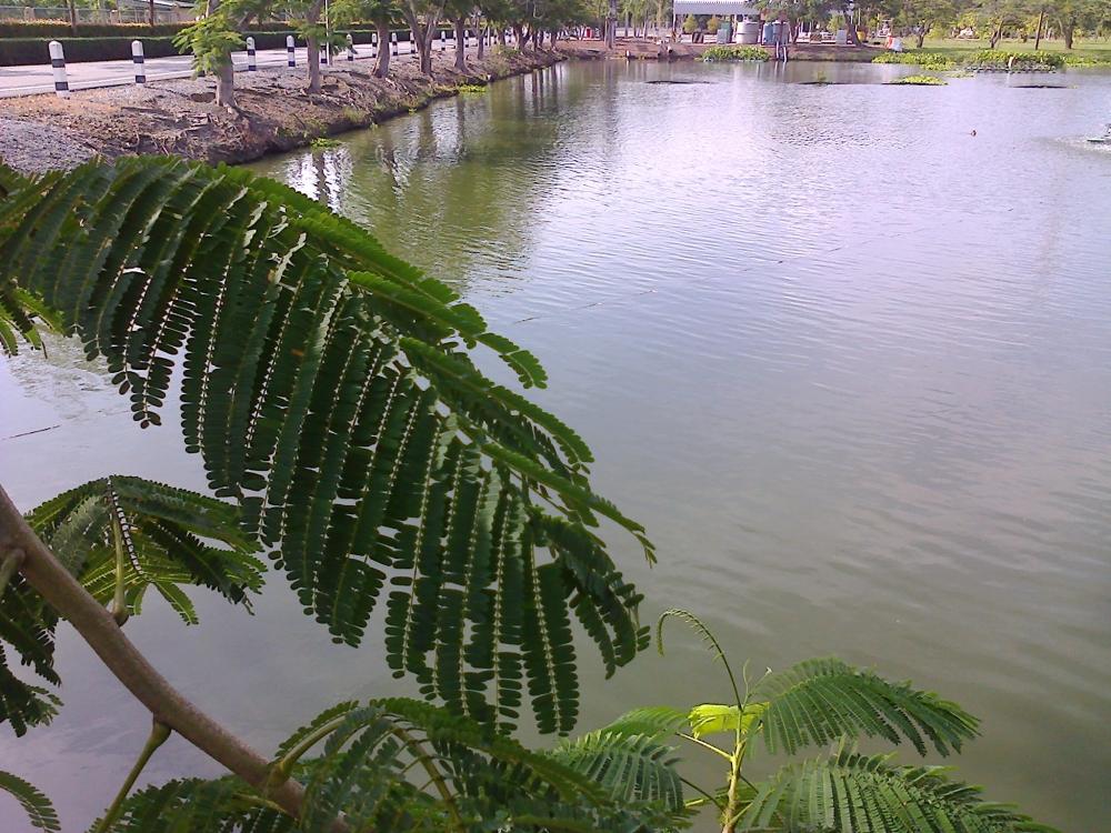 ป่วน 2
