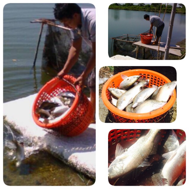 บ่อน้องพลอย2 เปิดให้บริการวั