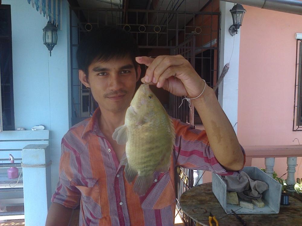 อีกครั้ง
