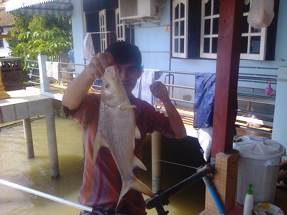 อีกครั้ง