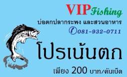 VIP น้าวุฒิจัดโปรเพียบ