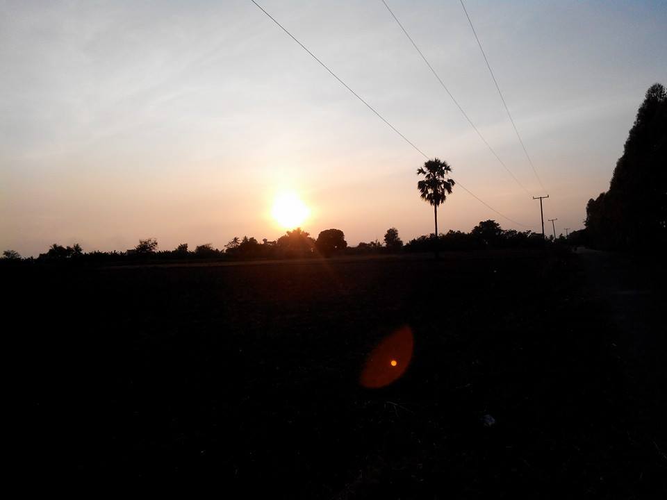 กบตรีน.....ตบ.....