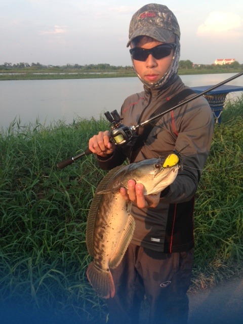 CrOzI-> ชะโด ณ บางแขม กลิ่นอาย แห่งความอุดมสมบูรณ์ <-IzOrC