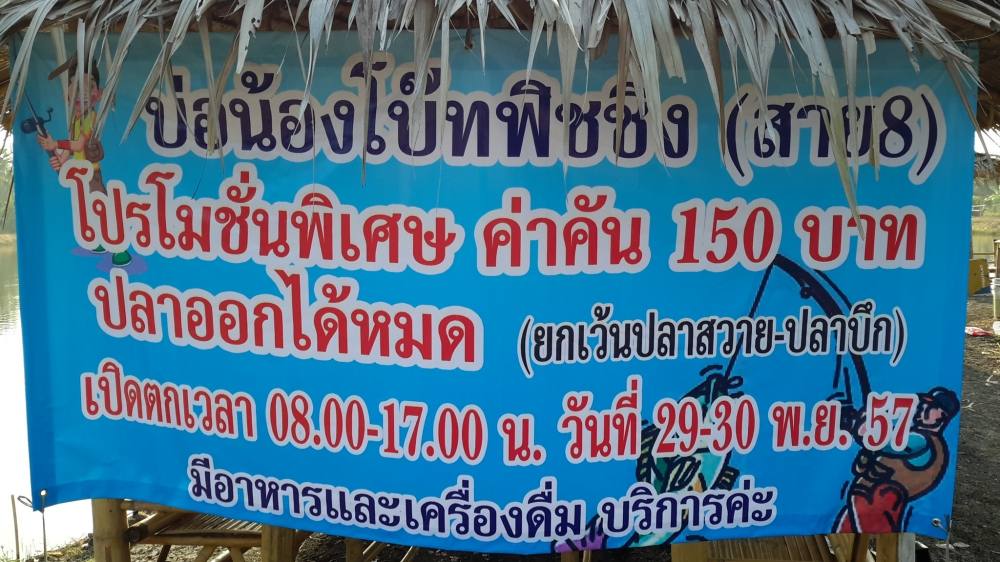 + สุ่มมาแอบดูปลาบ่อบ้าง +