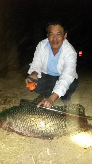 ผลงานของการอ่อยมะขวิดหมัก