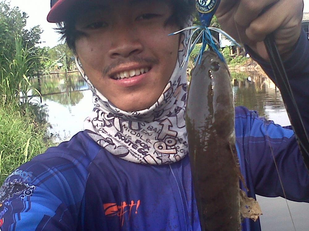 สิงบลู ปราบปลาช่อน