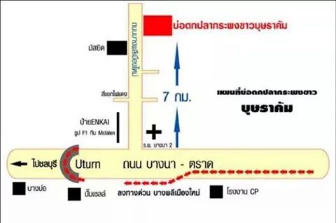 แม็ตพิเศษ ช่อน กระพง หลิว By P.O.M