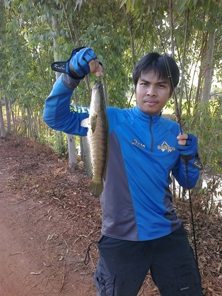 ช่อนนาปราจีน