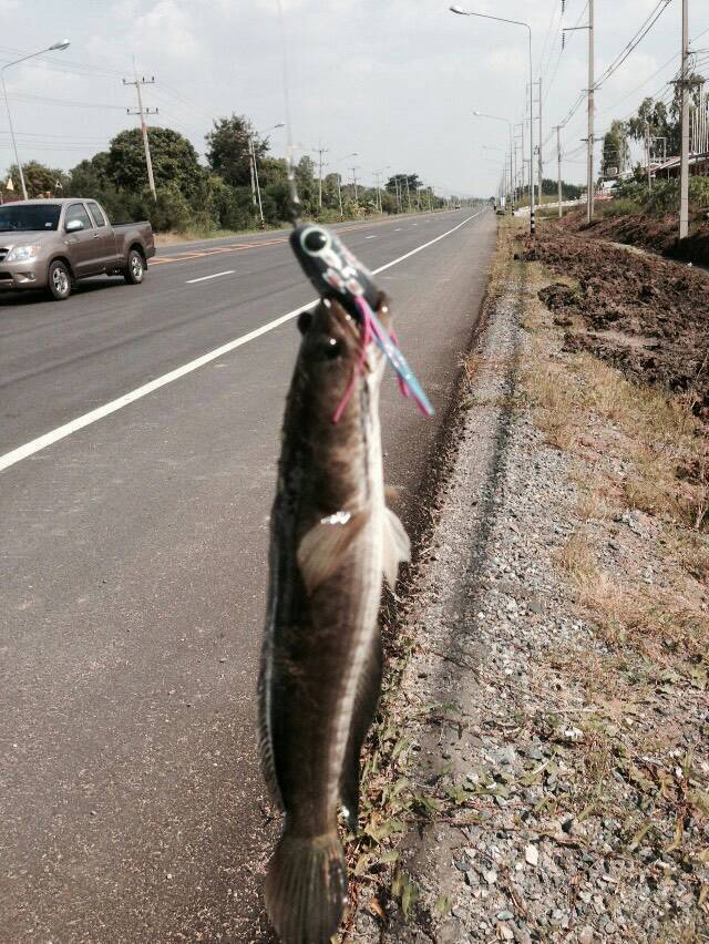 ข้างทางในวันแห้งแล้ง..