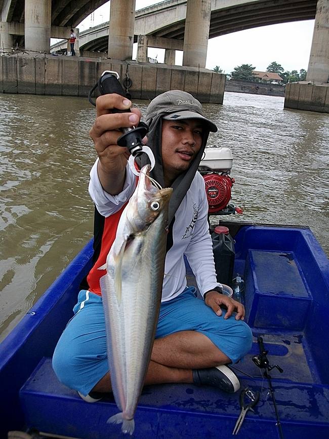 น้องเต๋พาไปลองเรือดีและถูกที่เจ้าพระยา..