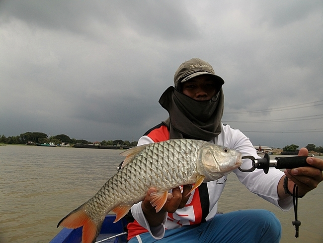 น้องเต๋พาไปลองเรือดีและถูกที่เจ้าพระยา..