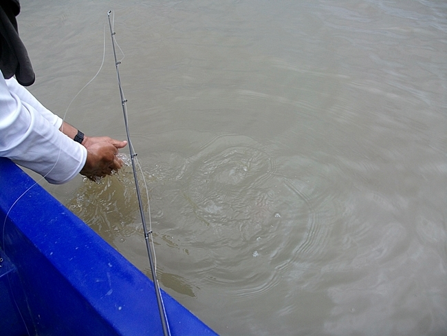 น้องเต๋พาไปลองเรือดีและถูกที่เจ้าพระยา..