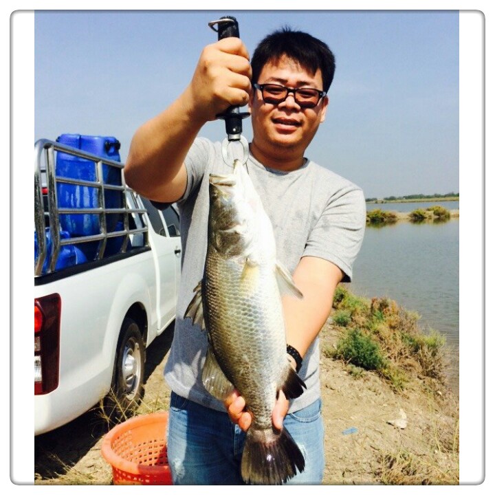 วันหยุด 10 ธ.ค. 57 ซ้ำ"บ่อป้าต้อย" 500 -.