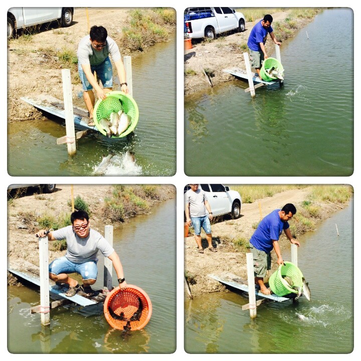 วันหยุด 10 ธ.ค. 57 ซ้ำ"บ่อป้าต้อย" 500 -.