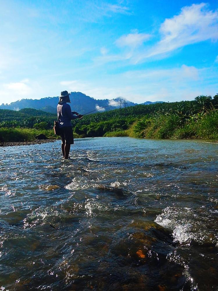 @@_** กระสูบ..ลำธาร..พังงา ( Krasob Stream Phangnga ) **_@@