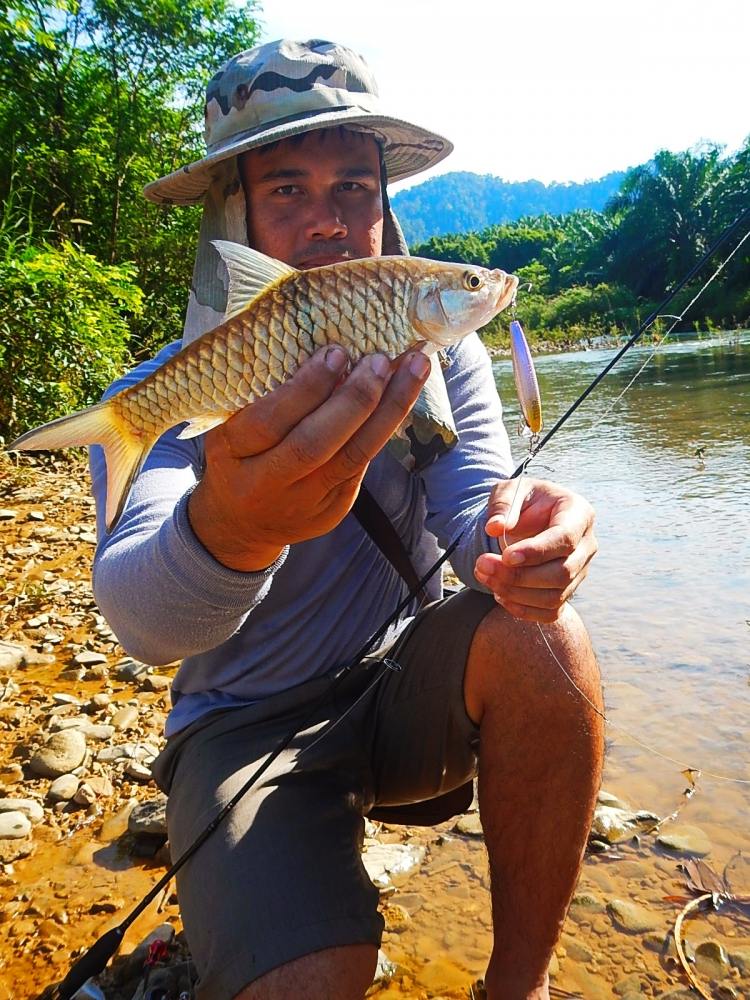 @@_** กระสูบ..ลำธาร..พังงา ( Krasob Stream Phangnga ) **_@@