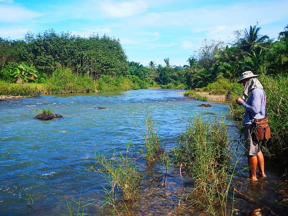 @@_** กระสูบ..ลำธาร..พังงา ( Krasob Stream Phangnga ) **_@@