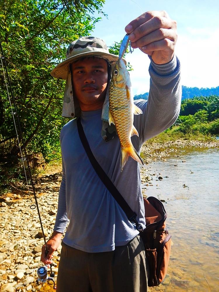 @@_** กระสูบ..ลำธาร..พังงา ( Krasob Stream Phangnga ) **_@@