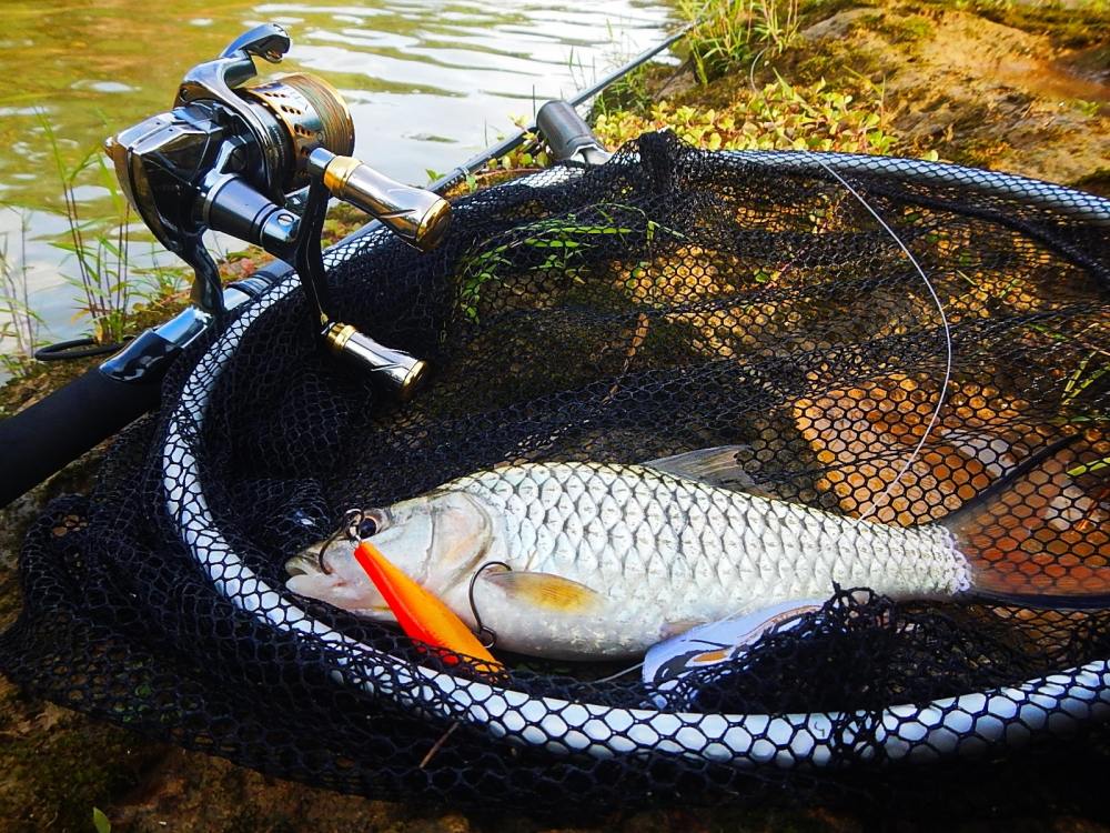 @@_** กระสูบ..ลำธาร..พังงา ( Krasob Stream Phangnga ) **_@@