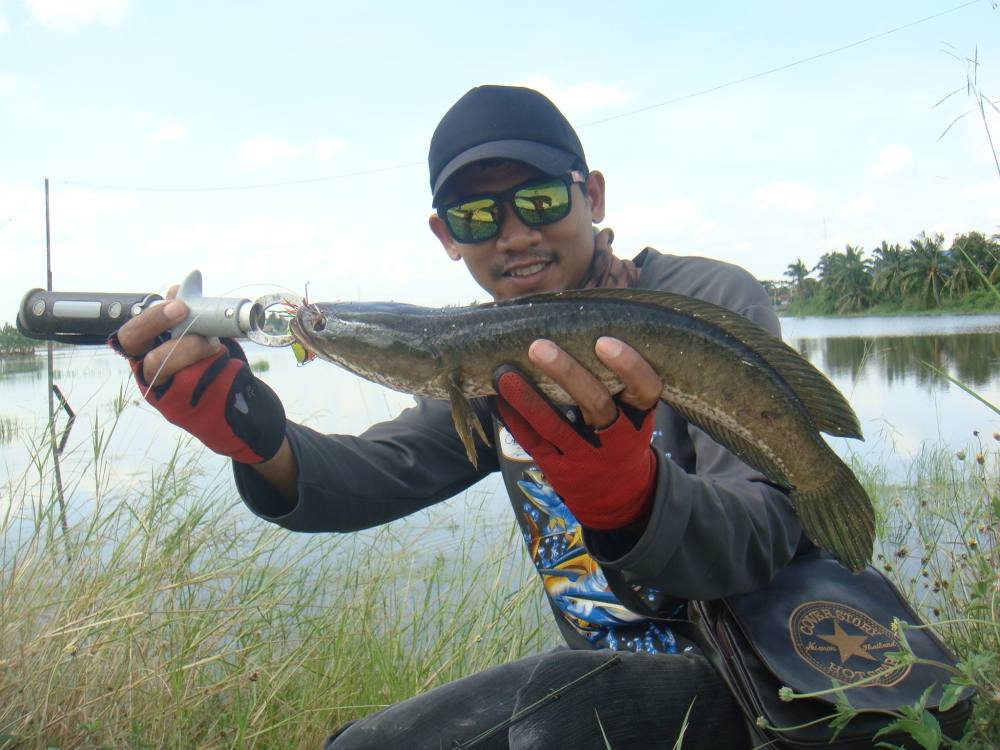 หาตัวไม่ยาก แต่ก็ไม่ง่าย / SnakeHead Angler Club /