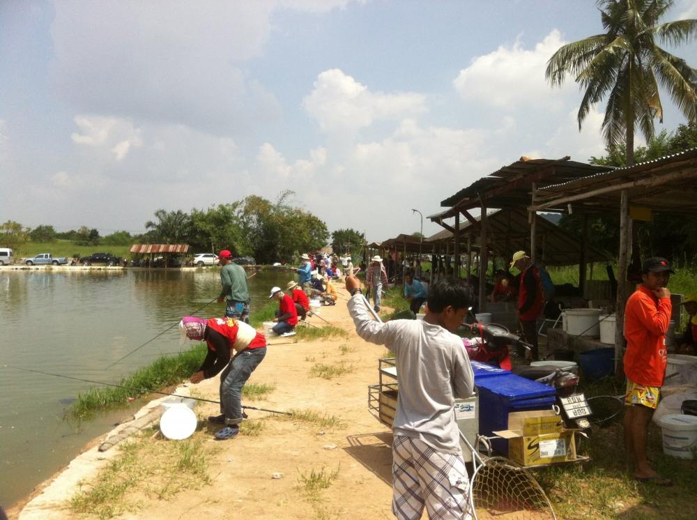 จัดตามคำขอ 50,000 บ่อCH.Fishing