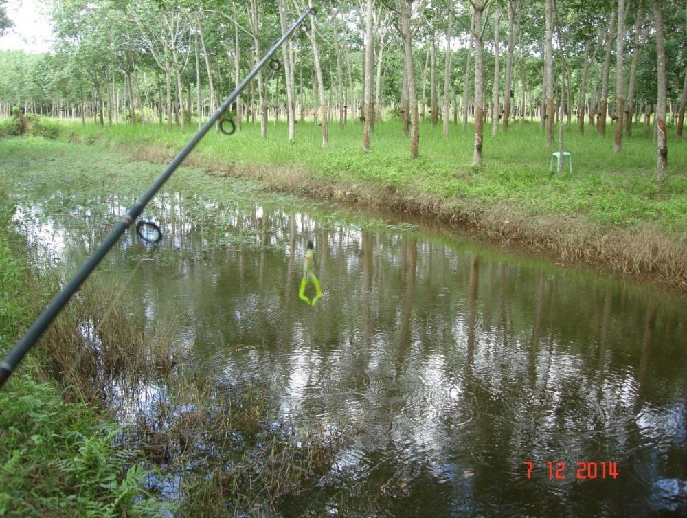 Texas rig….เชนและกบพีทีกลับมาแล้ว