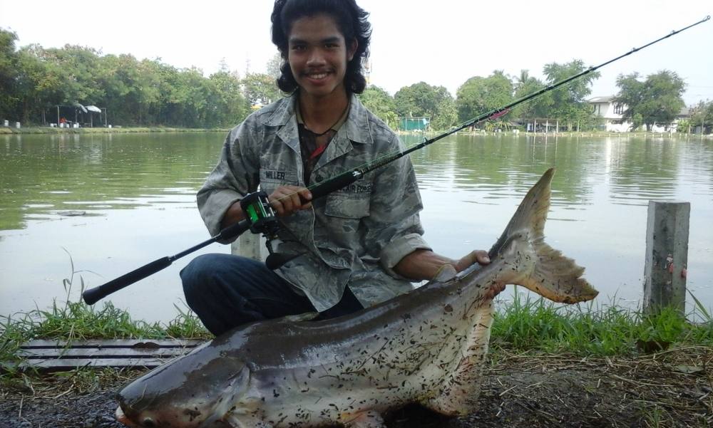 ขอถามเซียนtr200g